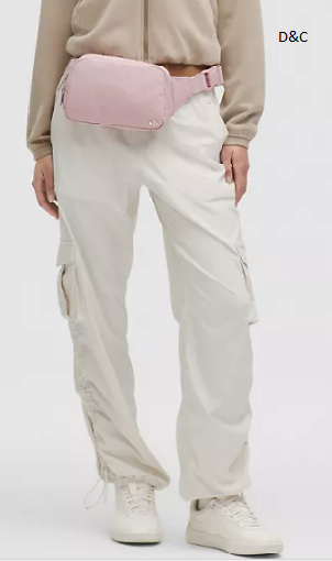 Everywhere Belt Bag Large 2L