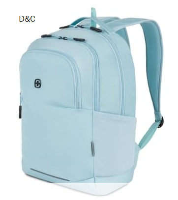 SwissGear Orientation, Light Blue, 17.75-Inch