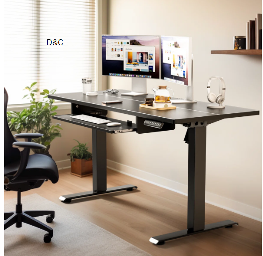 Lilja Electric Standing Desk Height Adjustable，Memory Computer Home Office Desk with Keyboard Tray For Home Office
