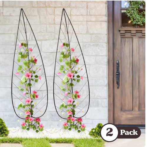 Pure Garden 0.25 W x 55-in H Black Iron Leaf Garden Trellis For Climbing Plants For Cucumbers For Roses For Tomatoes 2 -Pack