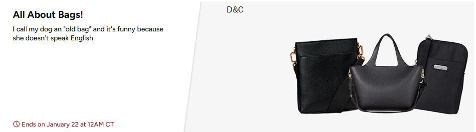 All About Bags Big sale on branded bags