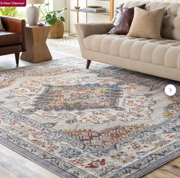 Oriental Indoor Rug