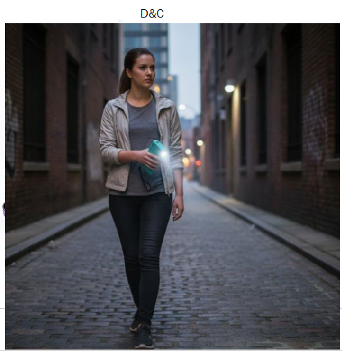 Stun Gun with Flashlight – 160 Lumen and Disable Pin | Disabler