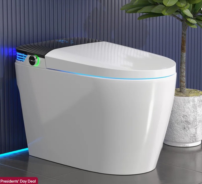 BCANHOME Smart Toilet with Tankless Bidet Wash, Auto Open Lid, 1.28 Gallons Auto Dual Flush, Heat Seat, Warm Wash/Dryer, Soft Closing, Remote Control SMT2232C