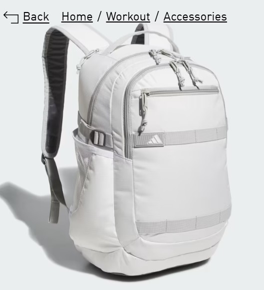Impulse Backpack