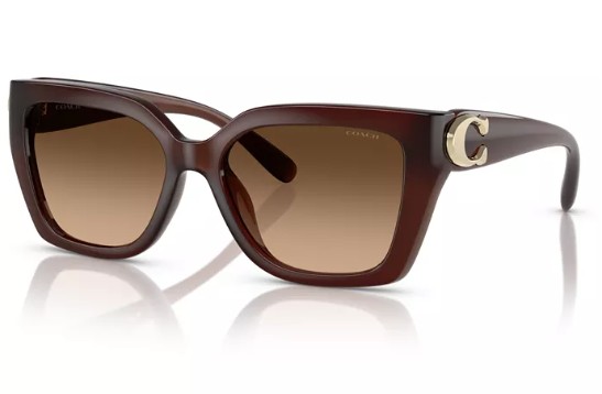 Women’s Sunglasses, CW195 HC8408U