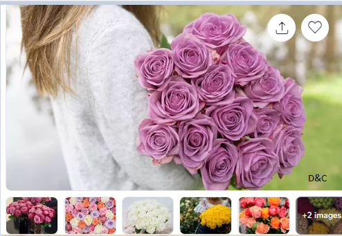 24 Luxury Long Stem Roses