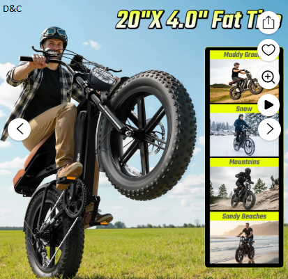 Electric Bike for Adults, 20″x4.0 Fat Tire E-Mountain Bicycle, Peak 1500W Motor 48V 15Ah Removable Battery 7-Speed E-Bike UL2849