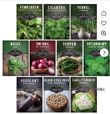 8 pack Indian Vegetable – Eggplant Okra Green Bean Cilantro Cucumber Carrot Mint – Full Sun Annual