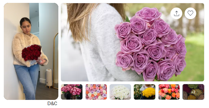 Paris Hilton Electric Citrus Juicer, Mini Portable Cordless Juicer with USB Rechargeable Base, One-Touch Button, Compact Lemon, Lime and Orange Juicer, Pink