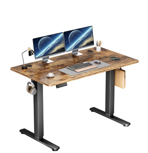 edx Electric Standing Desk, Height Adjustable Desk, 48 x 24 Inches Ergonomic Stand up Desk with Memory Preset and T-Shaped Metal Bracket for Home Office