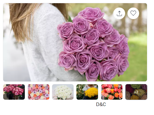 24 ct Roses Luxury Long Stem Rose Bouquet from Rose Farmers | Farm Fresh Roses (Up to 74% Off)