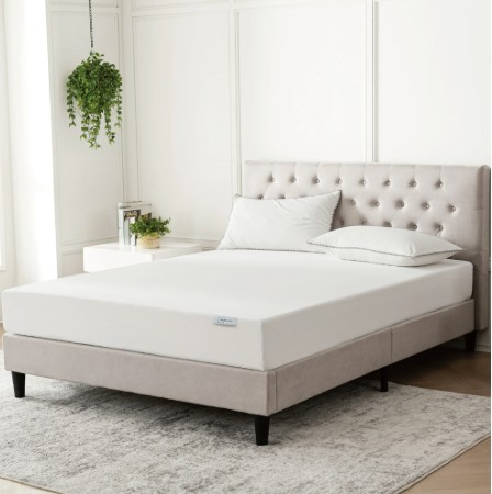 Mainstays 8” Medium Firm Memory Foam Mattress, Queen