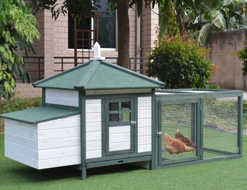 Sale on Chicken Coops