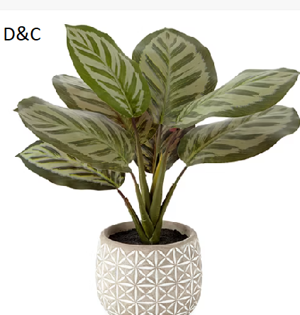 Distant Lands 14″ Prayer Artificial Plant