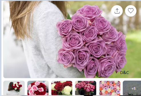 24 ct Mother’s Day Roses Luxury Long Stem Rose Bouquet from Rose Farmers | Farm Fresh Roses (Up to 74% Off)