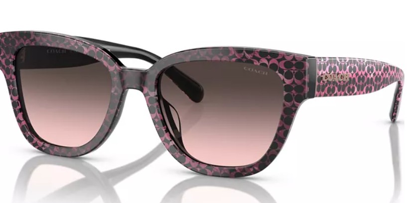 Women’s CL920 Sunglasses, Gradient HC8379U