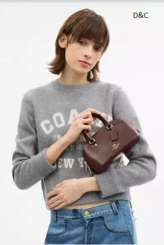 COACH OUTLET Lara Mini Satchel Bag