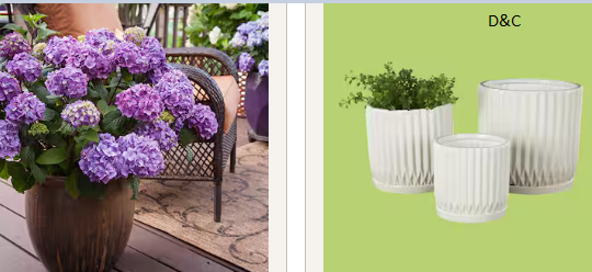 HomeDepot GARDEN CENTERSpring sale is going on.