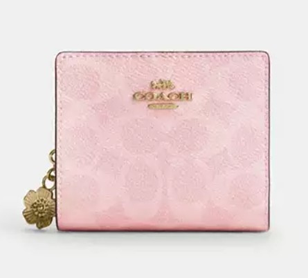 Snap Wallet In Signature Canvas With Charm