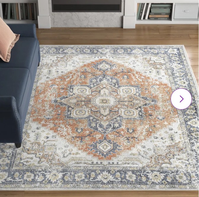 Washable Oriental Indoor Rug