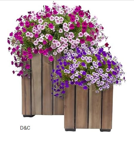 Sunnydaze Indoor/Outdoor Wooden Planter Boxes – 2 Acacia Wood Square Plant Pots with Plastic Liners – Anthracite Stain