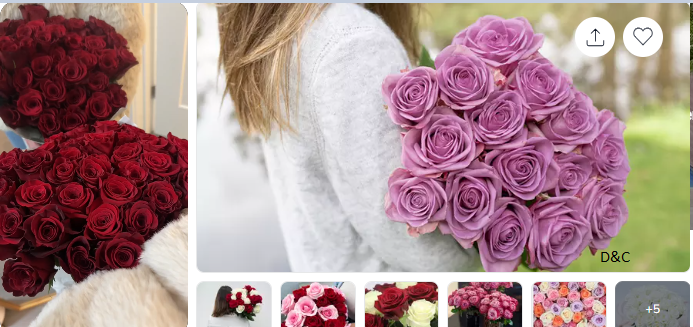 FLASH SALE 24 ct Mother’s Day Roses Long Stem Rose Bouquet from Rose Farmers | Farm Fresh Roses (Up to 74% Off)