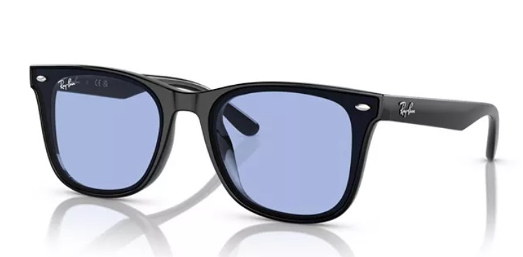 Unisex Sunglasses RB4420
