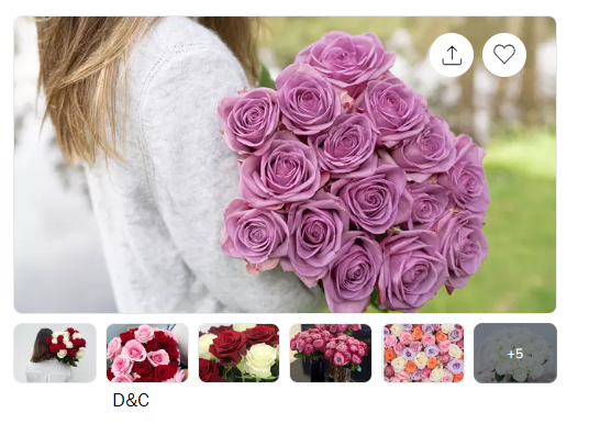 24 Luxury LongStem Roses (Choice of Color) 🌹