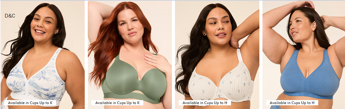 Buy 4 get 6 Free All Panties at lanebryant