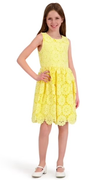 Kensie Girl Sleeveless Lace Fit and Flare Dress, Sizes 4-16