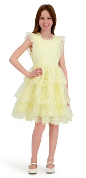 Kensie Girl Sleeveless Embroidered Tiered Scallop Dress, Sizes 4-16