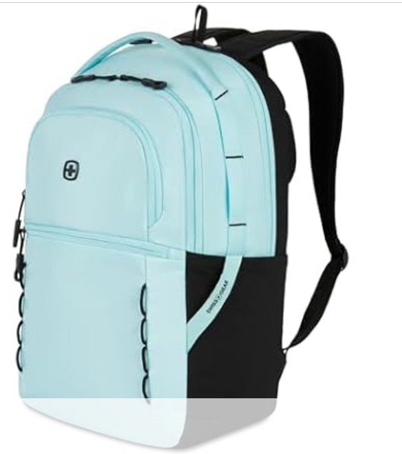 SwissGear Versa, 17.75-Inch (your choice of color)