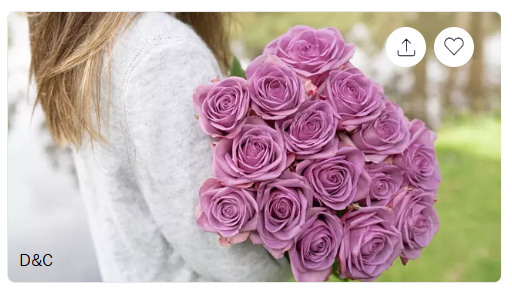 24 Luxury Long Stem Roses (Choice of Color)