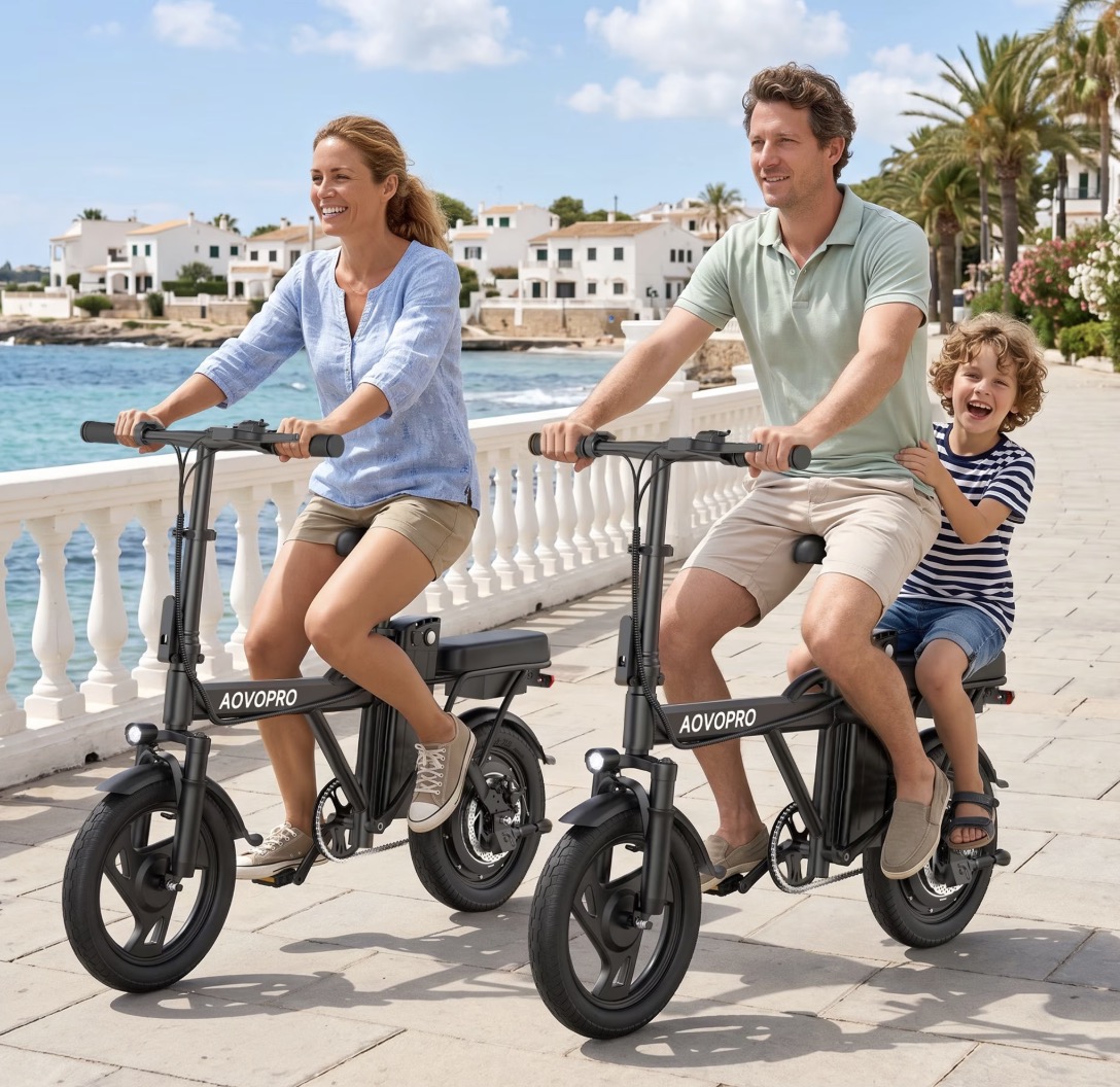 500W 48V 14″ Mini Electric Bike