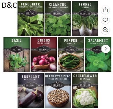 8 pack Indian Vegetable – Eggplant Okra Green Bean Cilantro Cucumber Carrot Mint – Full Sun Annual