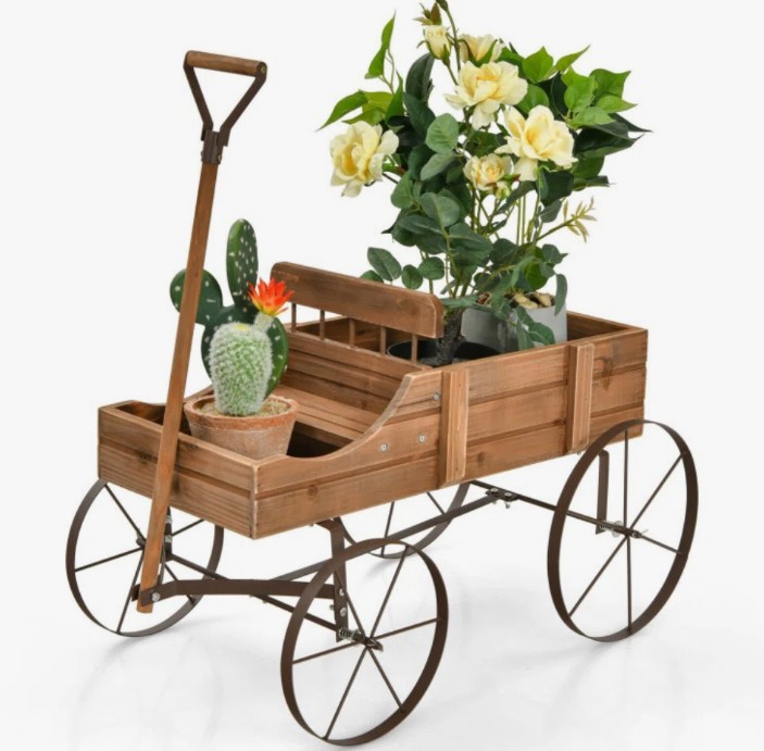 Chasitty Planter