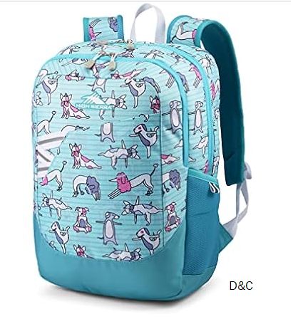 High Sierra Essential Backpack, Laptop Bookbag for Travel, Work, or School, Flexible Fetch, One Size