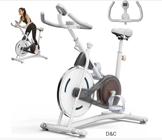 NAYSAYE Stationary Bike, Adjustable Exercise Bike with Smartphone Mount, Professional Workout Bike for Home Effective Fitness Training
