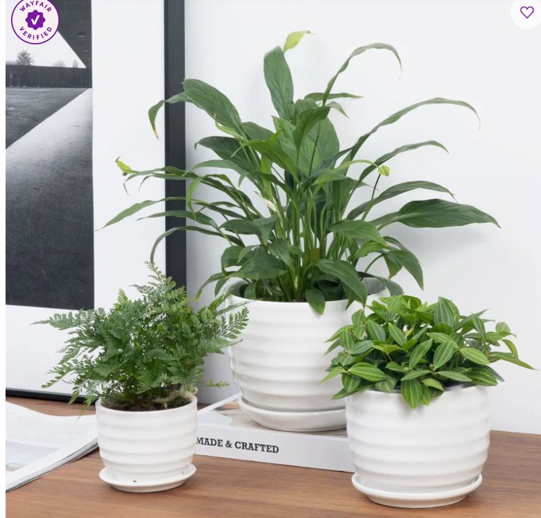 Aniece Ribbed Ceramic Pot Planter (3-Piece)