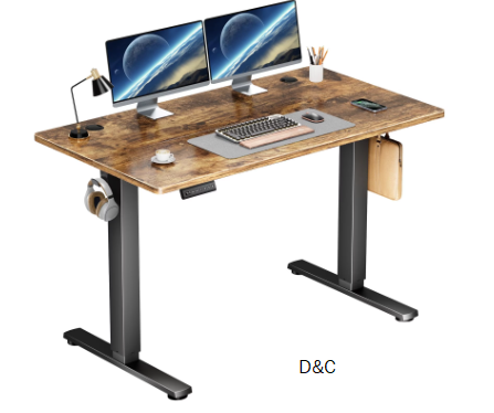 edx Electric Standing Desk, Height Adjustable Desk, 48 x 24 Inches Ergonomic Stand up Desk with Memory Preset and T-Shaped Metal Bracket for Home Office