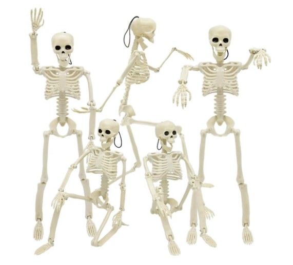 Ayieyill 5pcs Halloween Skeleton Decorations, Mini Posable Skeletons Halloween Decor for Halloween Decorations Indoor Outdoor
