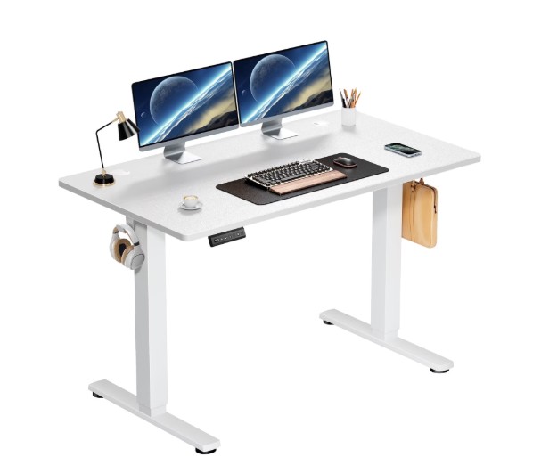 edx Electric Standing Desk, Height Adjustable Desk, 48 x 24 Inches Ergonomic Stand up Desk with Memory Preset and T-Shaped Metal Bracket for Home Office