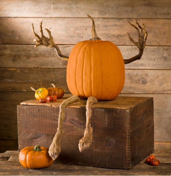 4-Piece Posable Pumpkin Vine Arms and Legs Set