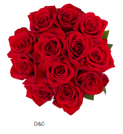 Dozen Red Roses