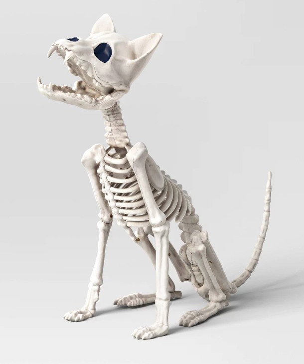 11.5″ Chihuahua Skeleton Halloween Decorative Prop – Hyde and EEK! Boutique™