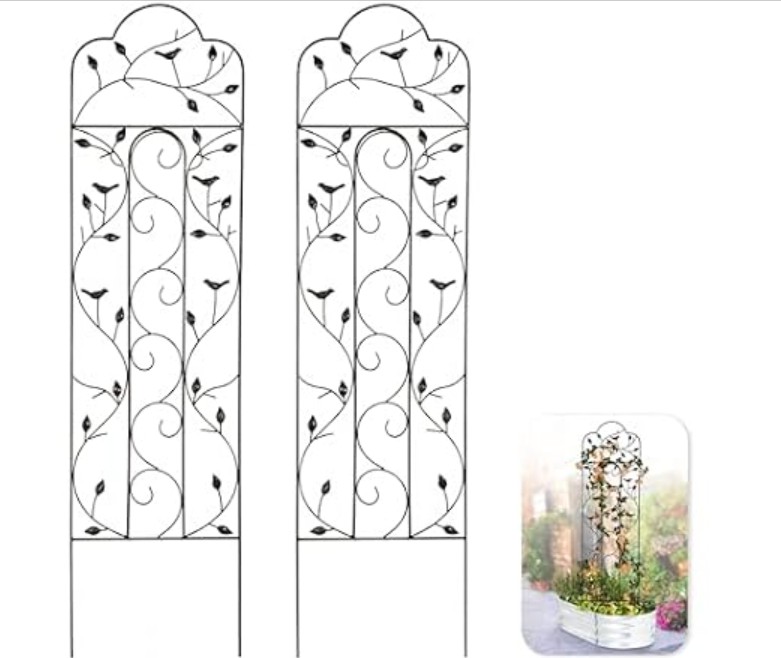 Idzo 60in 5ft 100% Metal Garden Trellises for Climbing Plants Outdoor, Heavy-Duty Steel Garden Trellis with Durable Powder Coating, Black
